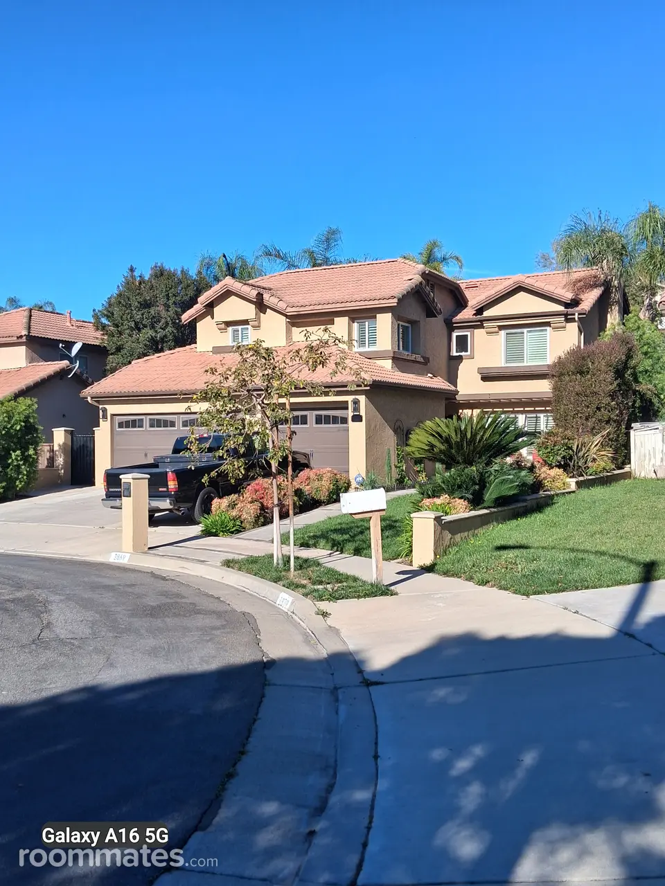 Profile photo 4 of 13