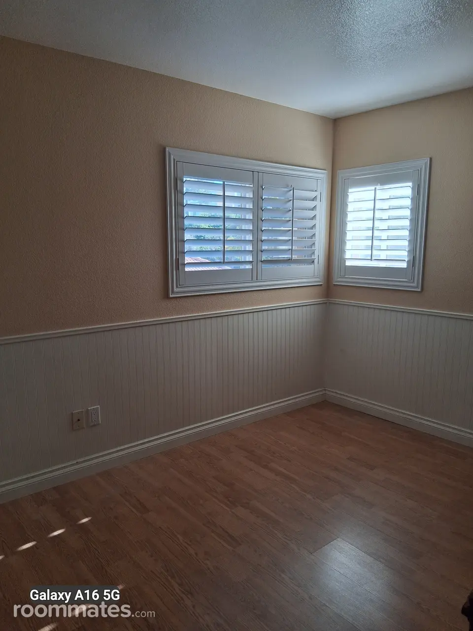 Profile photo 1 of 13