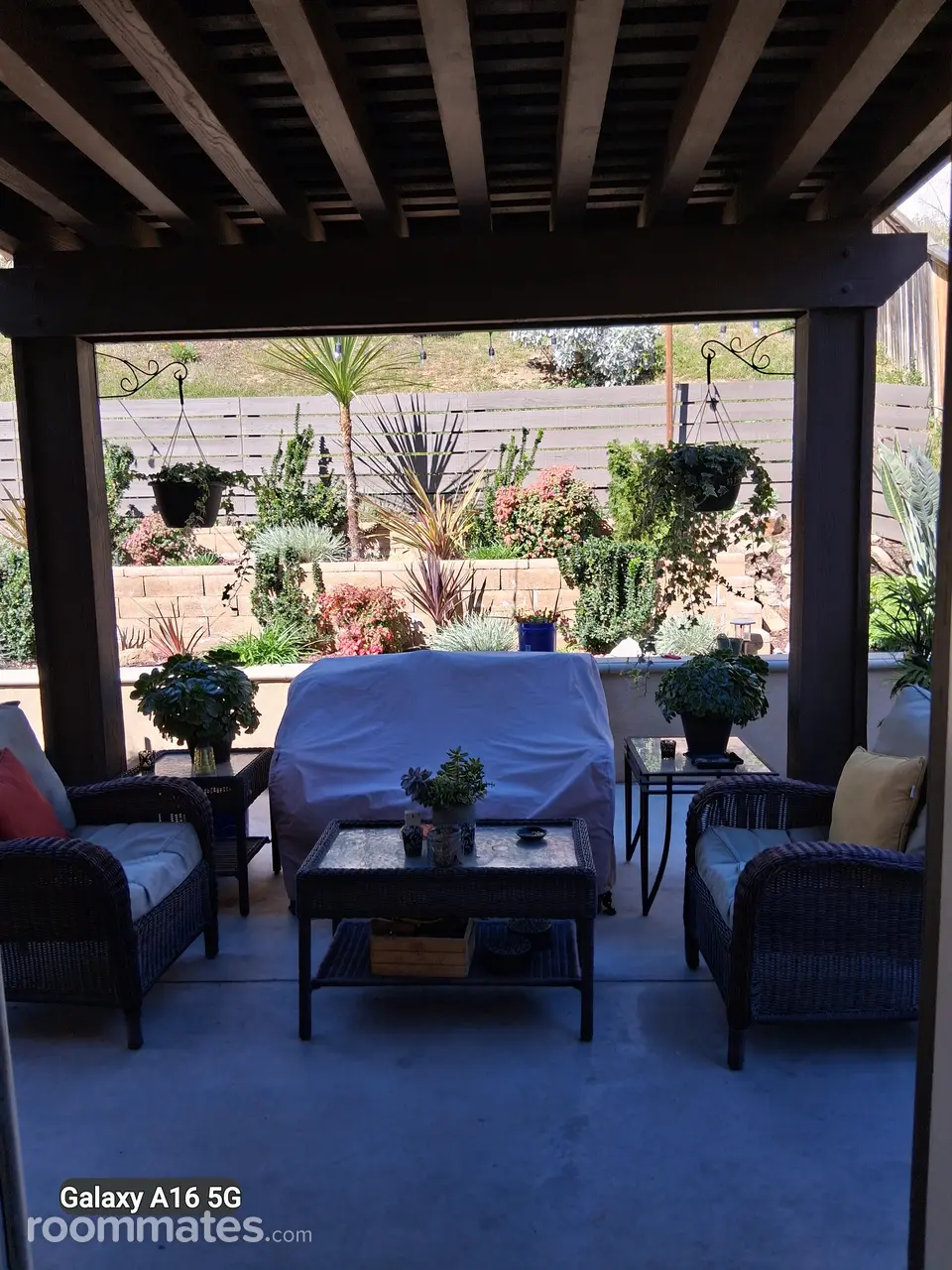 Profile photo 7 of 13