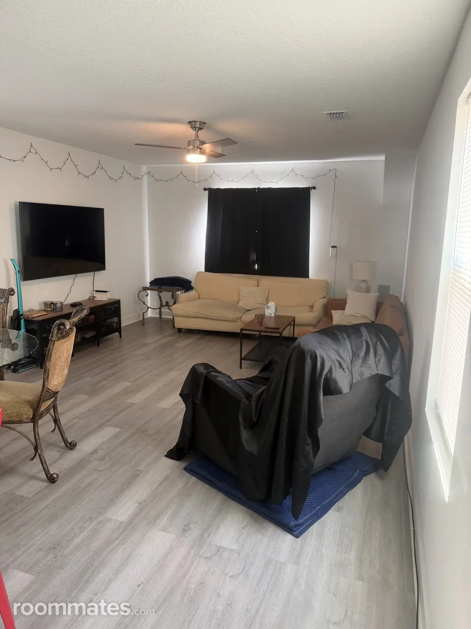 Profile photo 10 of 12