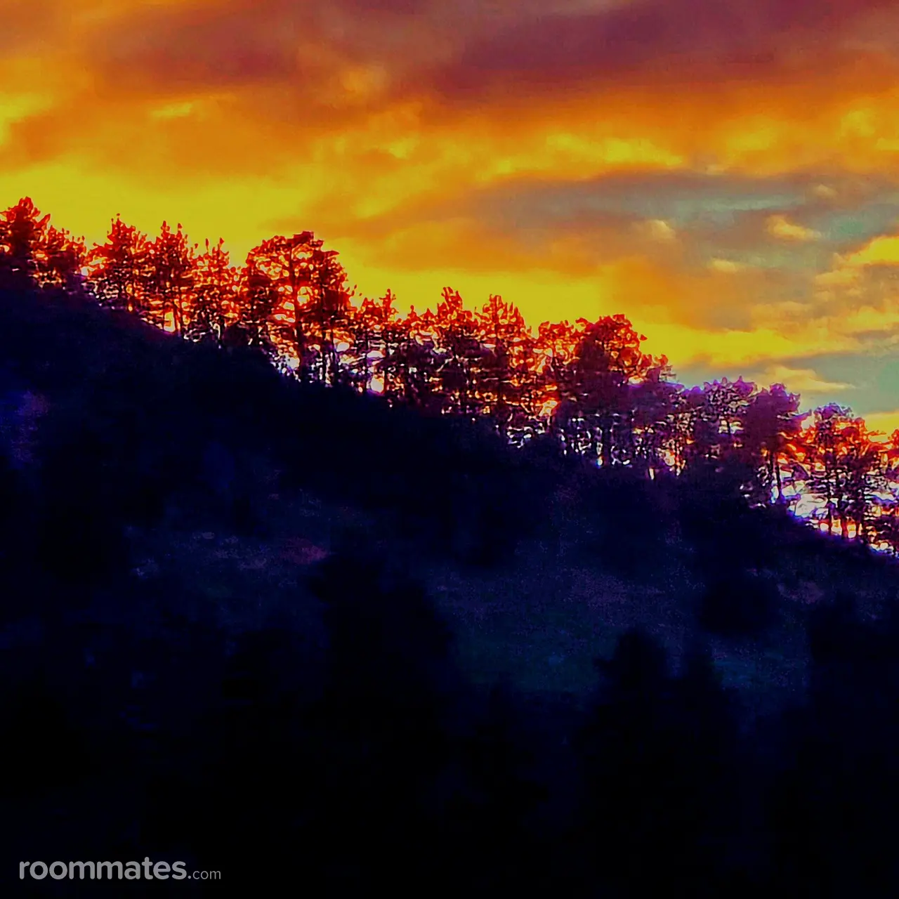 Profile photo 3 of 10