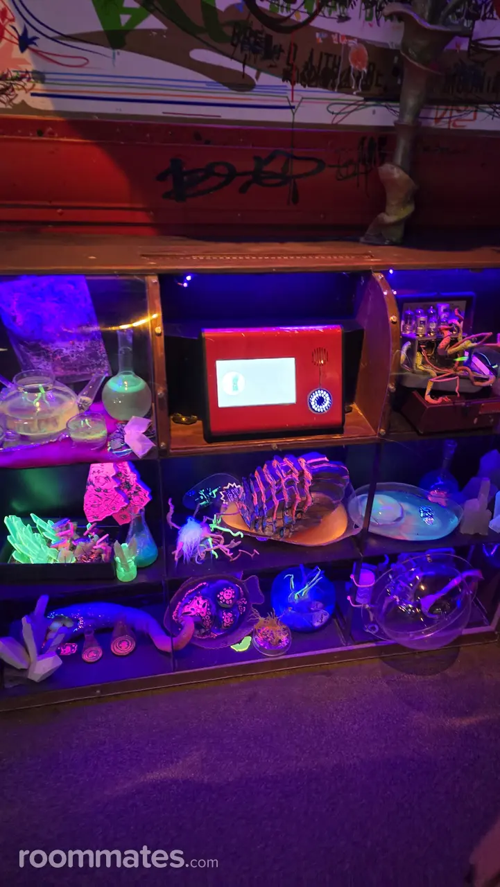 Profile photo 10 of 10