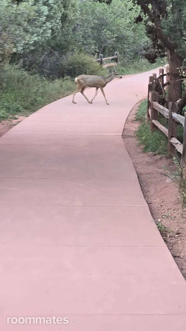 Profile photo 8 of 10