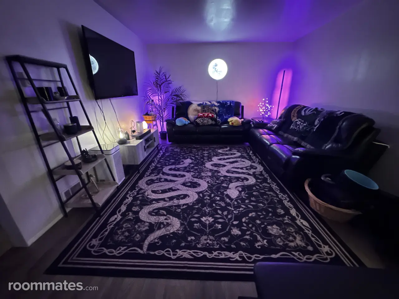 Profile photo 1 of 7