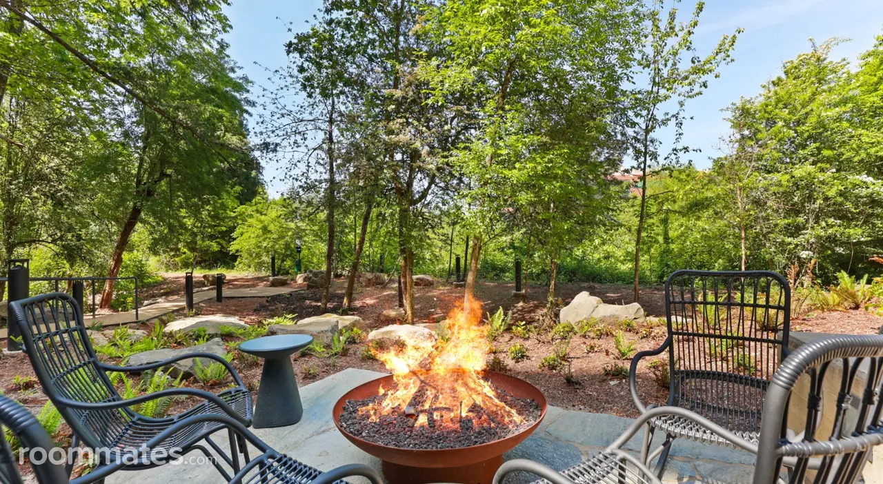 Profile photo 7 of 10