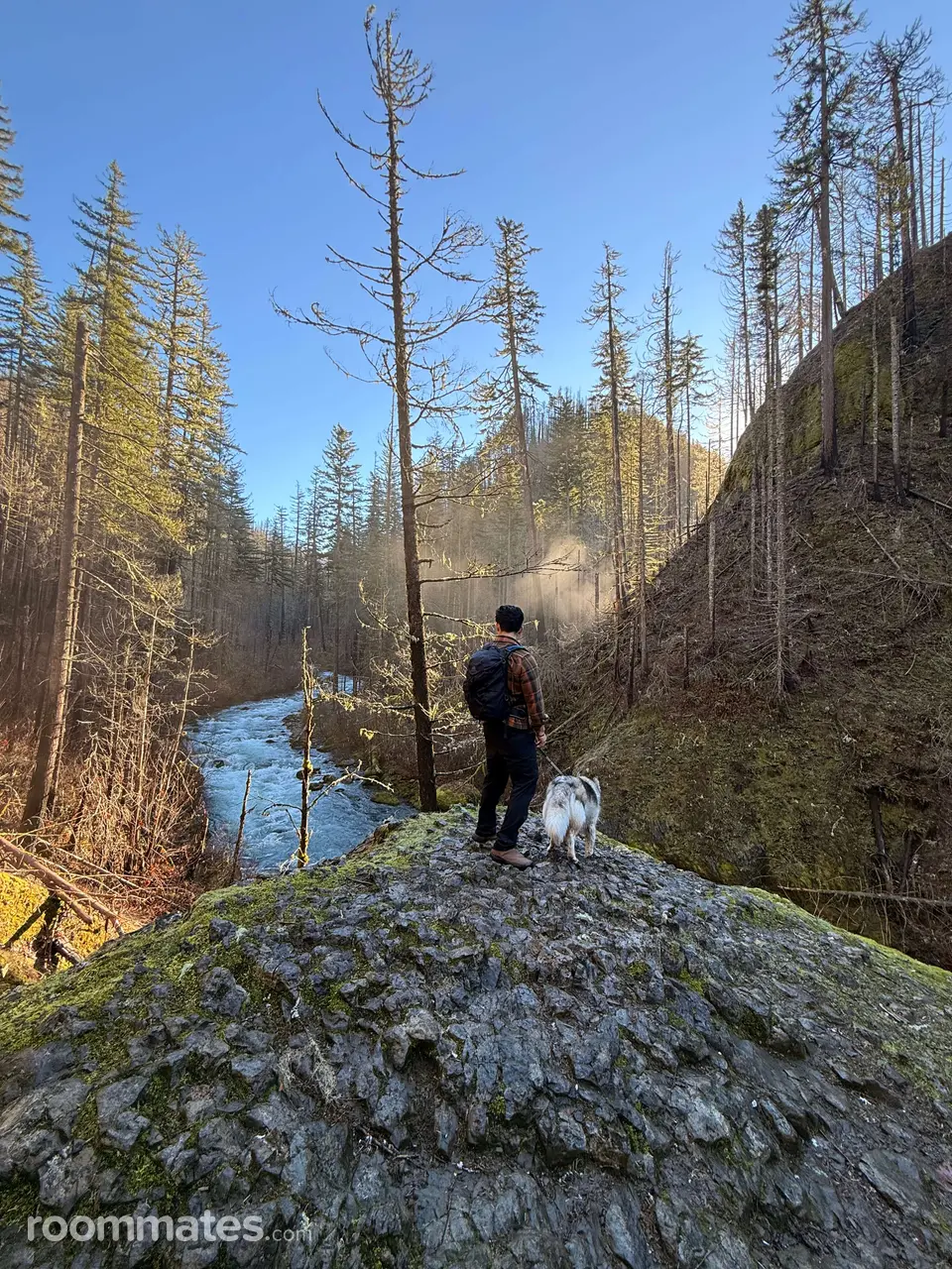 Profile photo 8 of 10