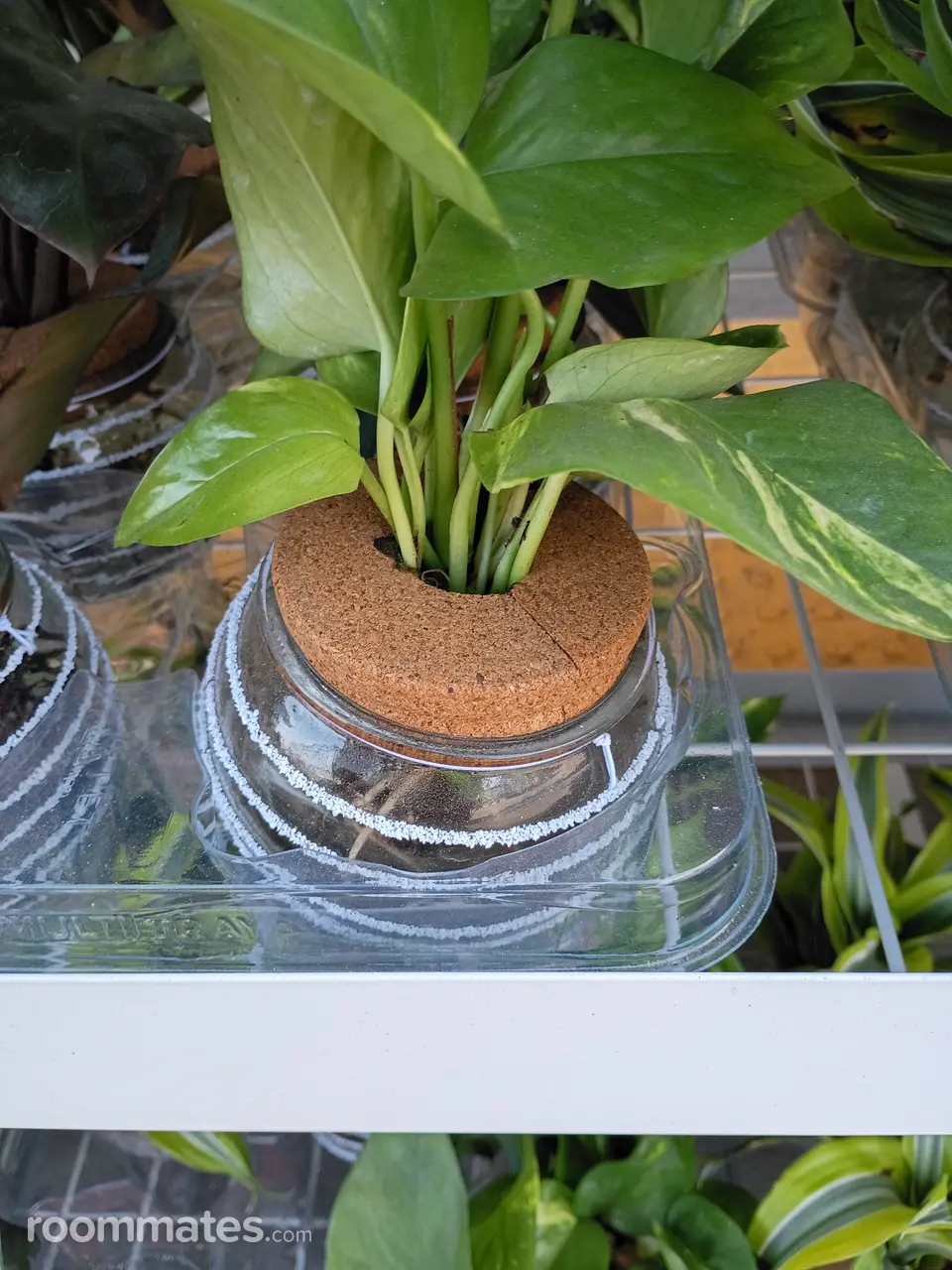 Profile photo 4 of 5