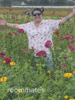 Roommate looking Brandon, FL, $800