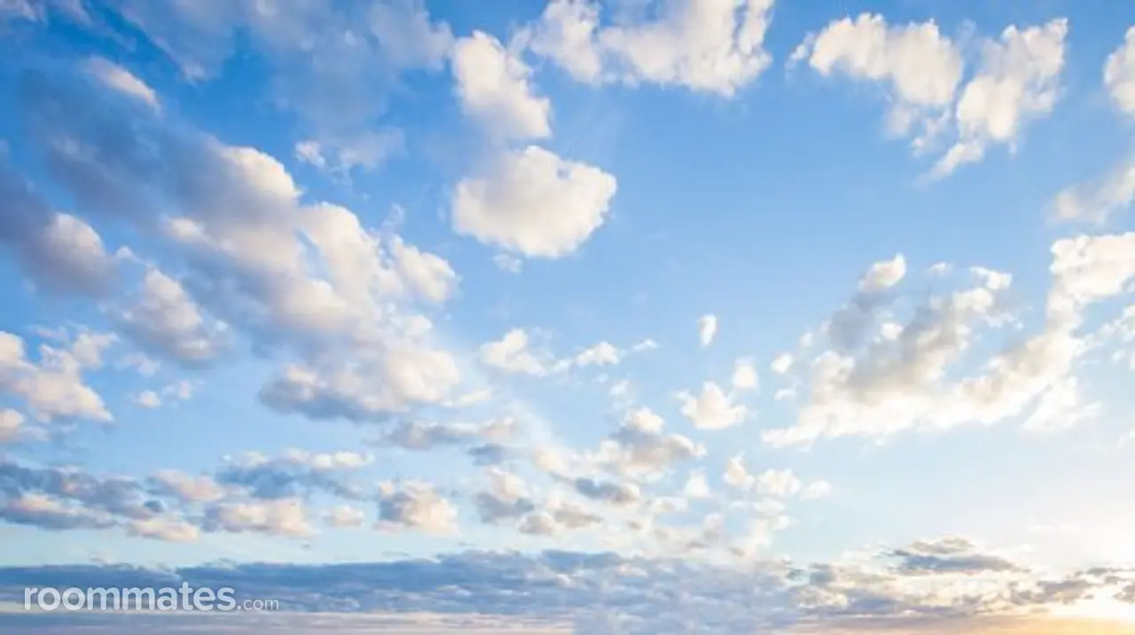 Profile photo 1 of 1