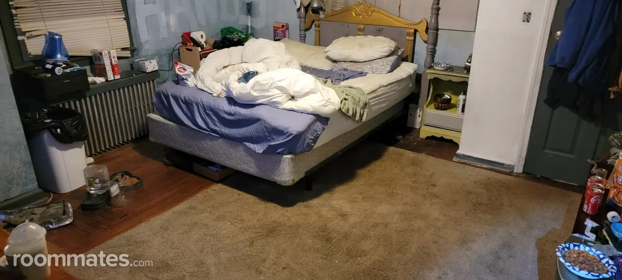 Profile photo 10 of 11