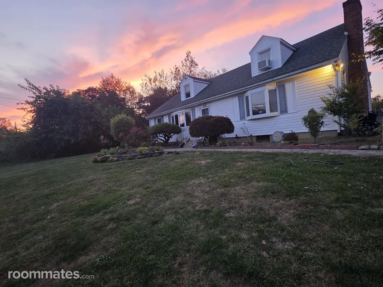 Profile photo 1 of 11