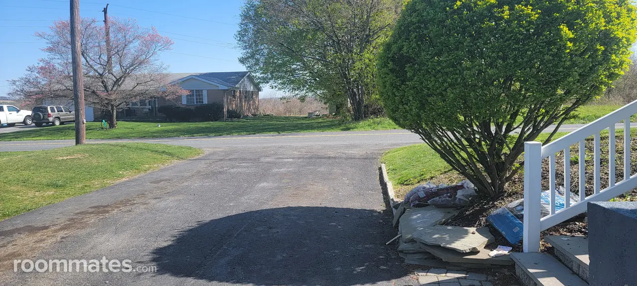 Profile photo 9 of 11