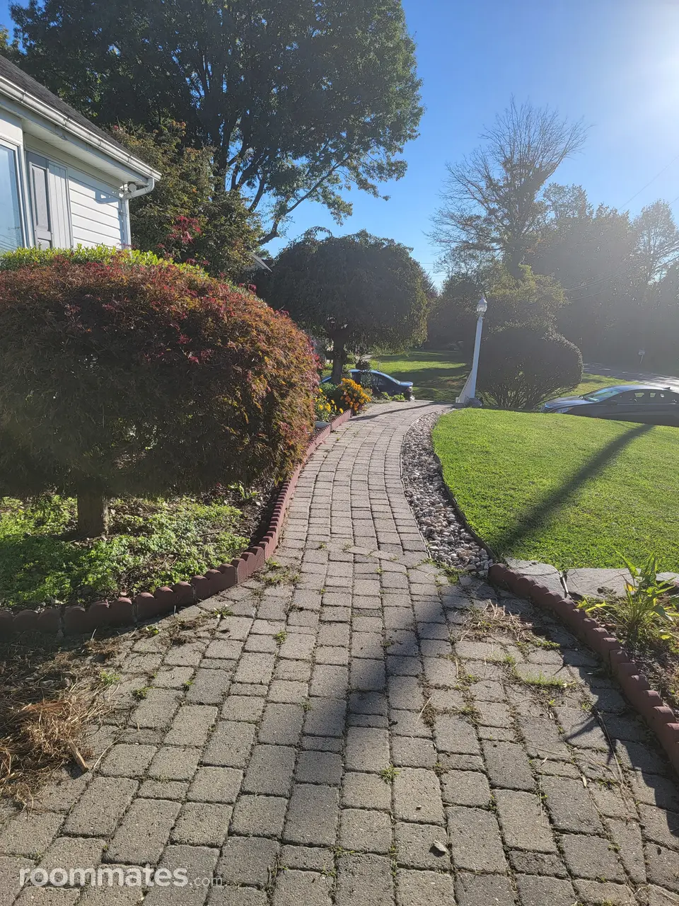 Profile photo 8 of 11