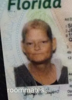 Roommate looking Jacksonville, FL, $500