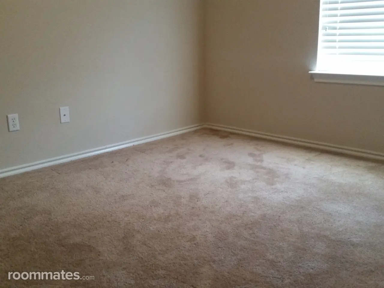 Profile photo 8 of 9