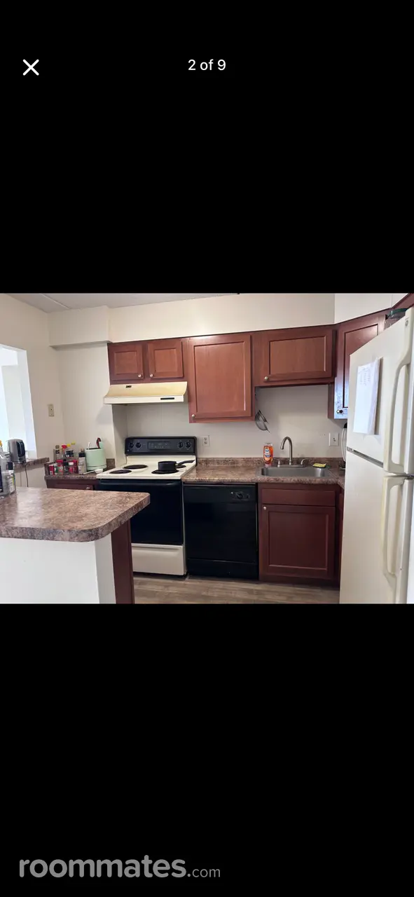 Profile photo 5 of 8