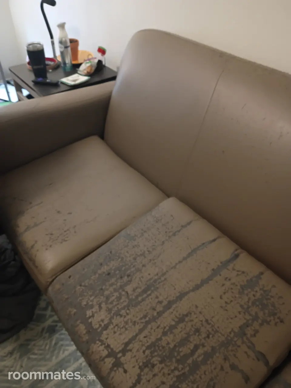 Profile photo 8 of 11