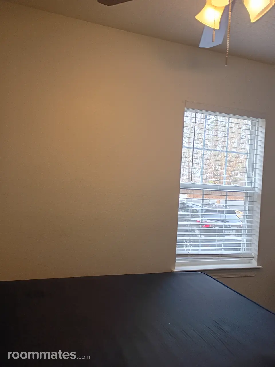 Profile photo 10 of 11