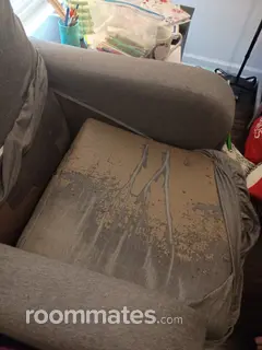 Room for rent in Salisbury, MD $734, apartment