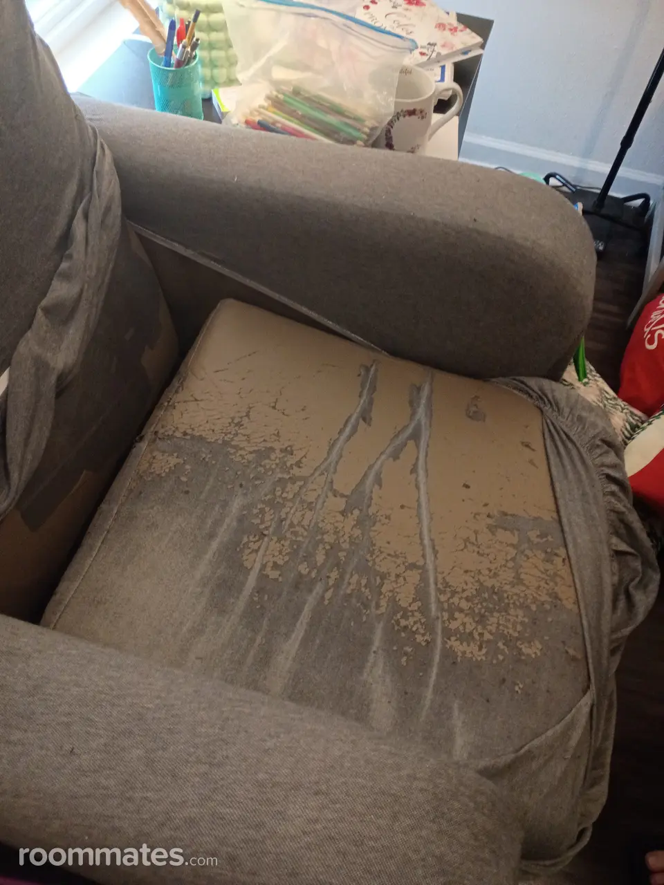 Profile photo 9 of 11