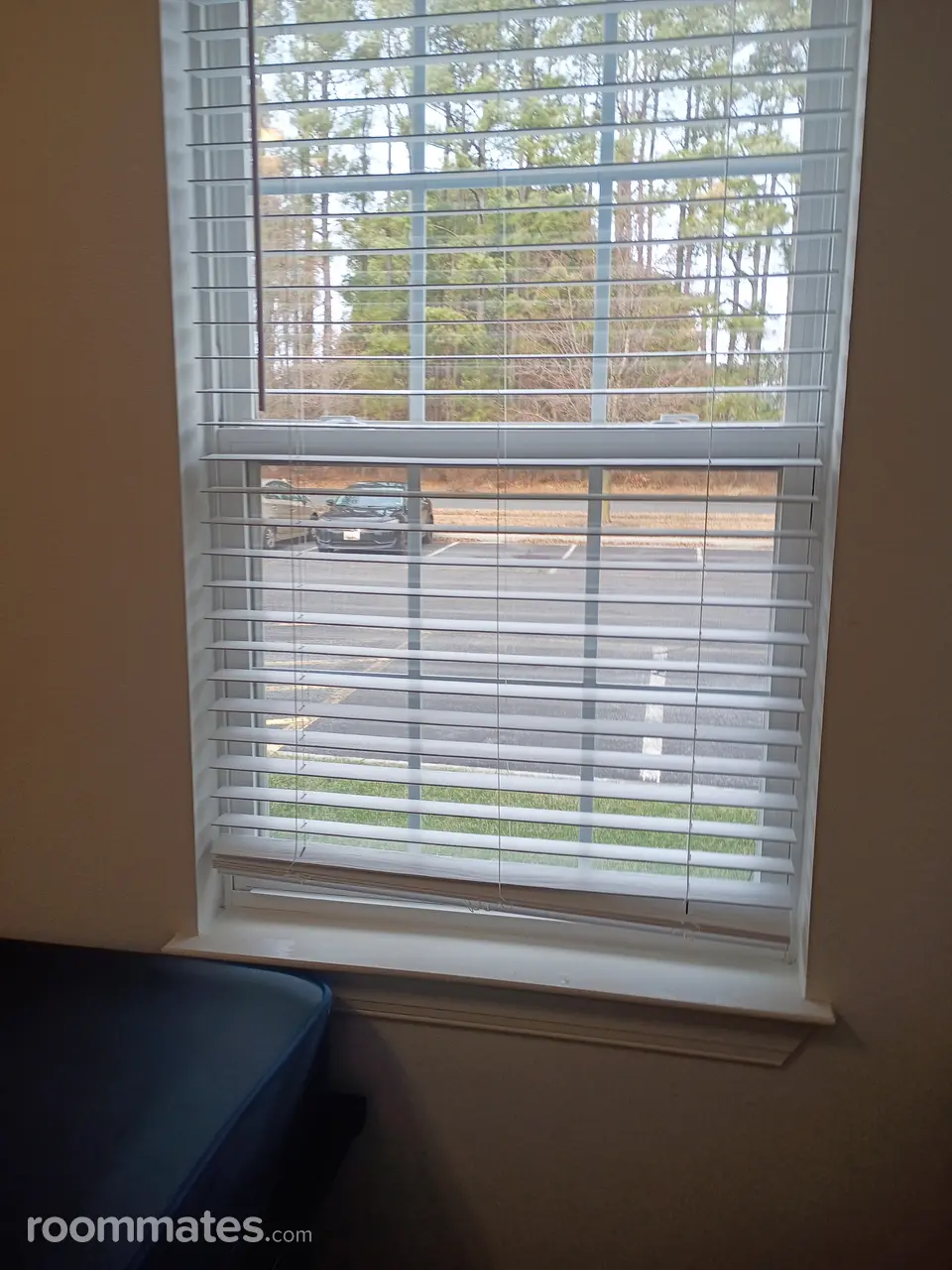 Profile photo 7 of 11