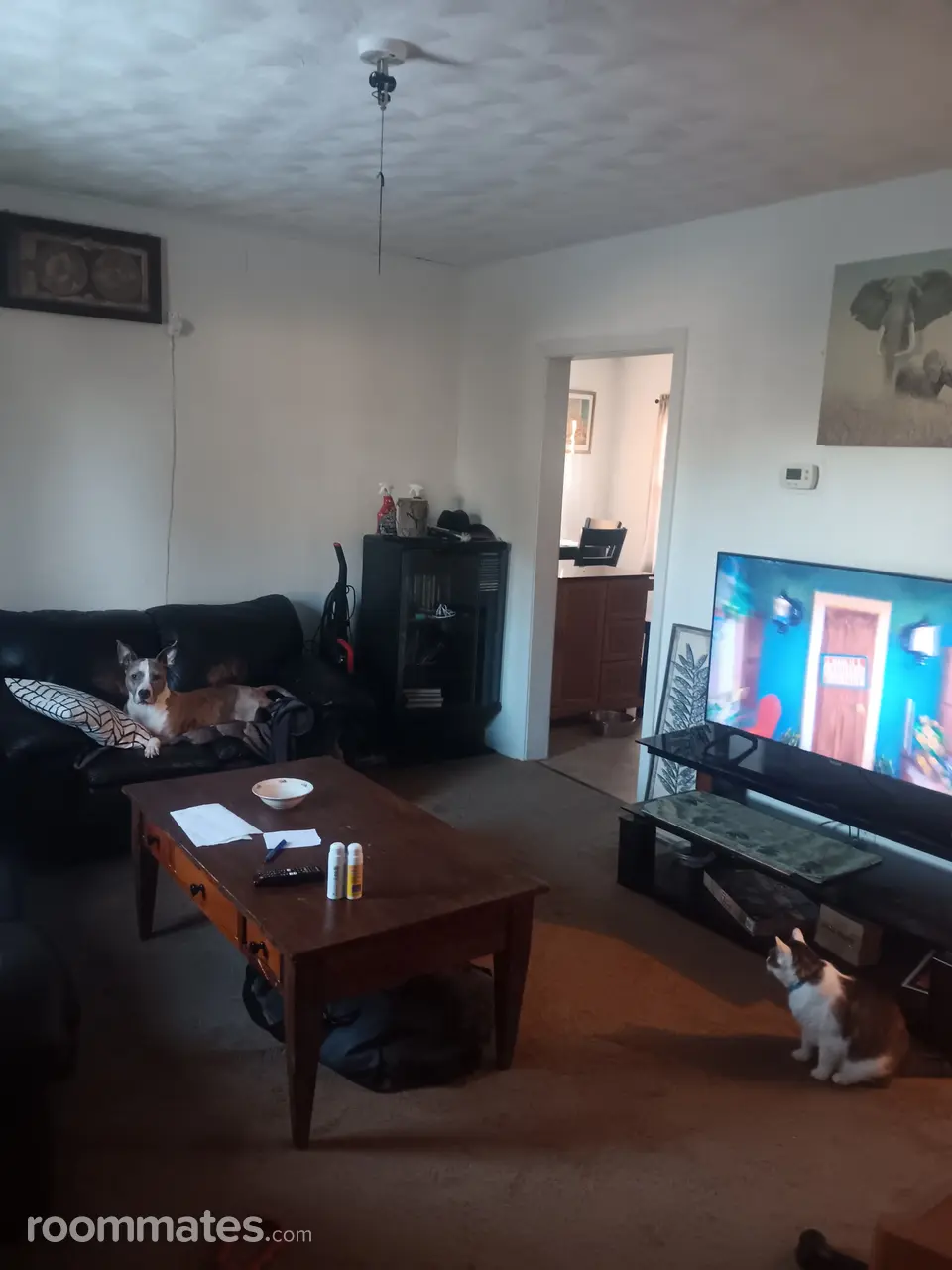 Profile photo 2 of 5