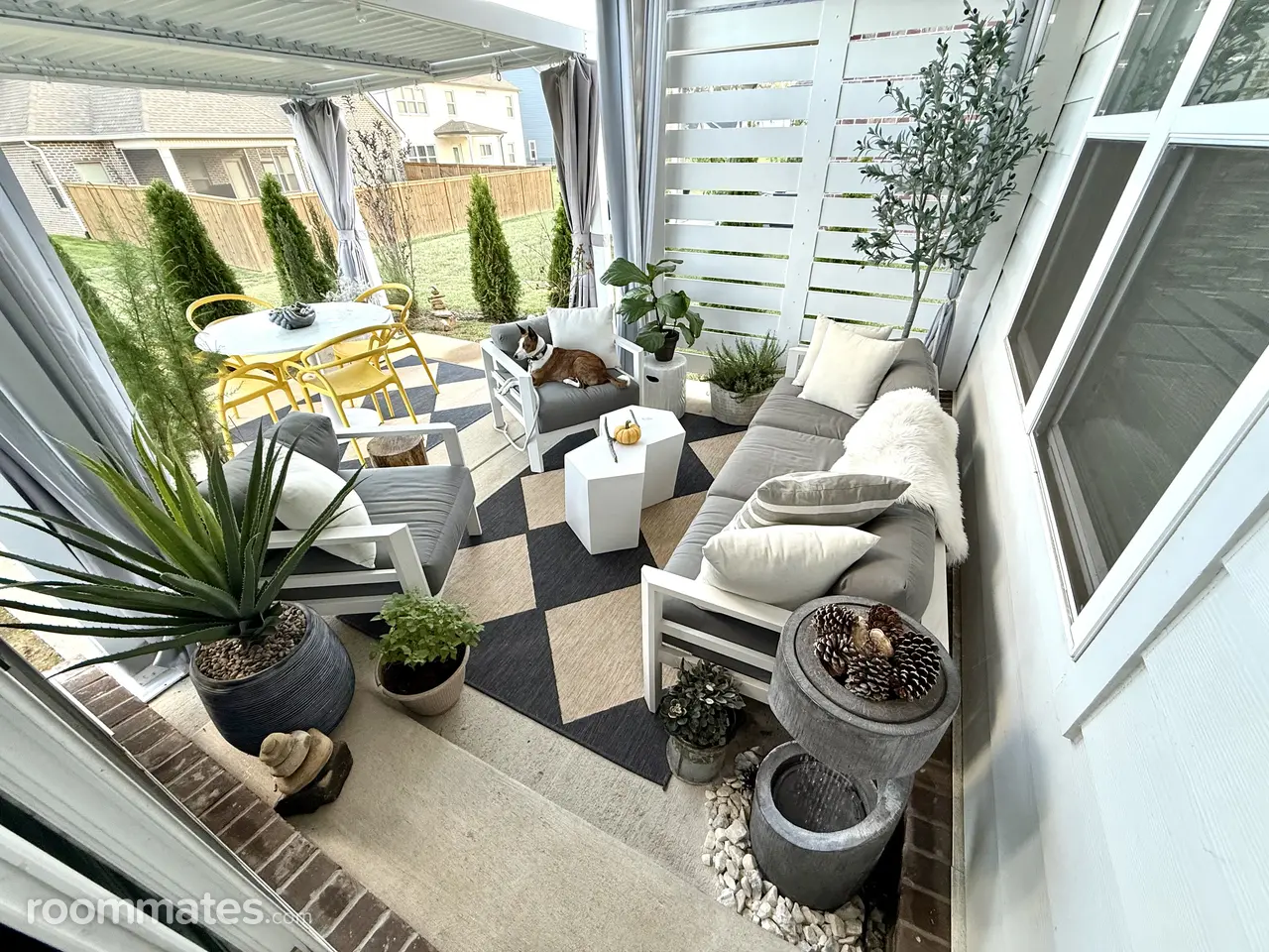 Profile photo 8 of 11