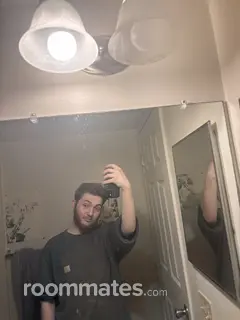 Roommate looking Lake Orion, MI, $600