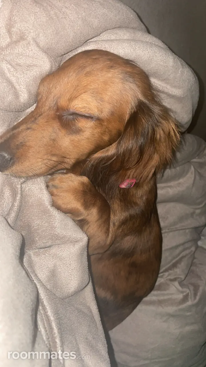 Profile photo 6 of 7