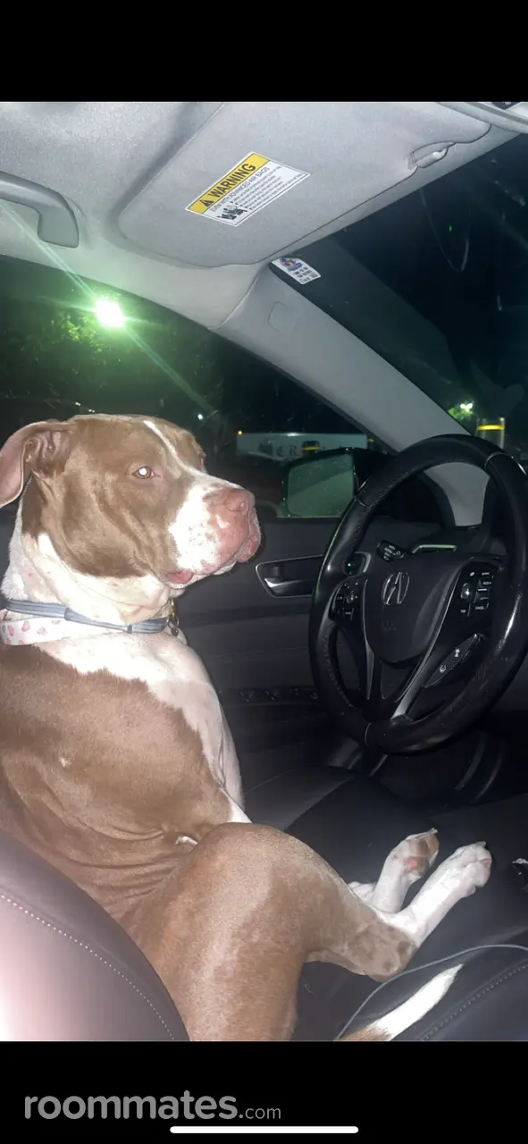 Profile photo 5 of 7