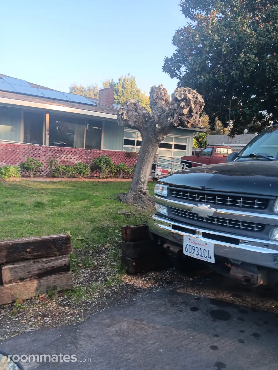 Profile photo 2 of 7