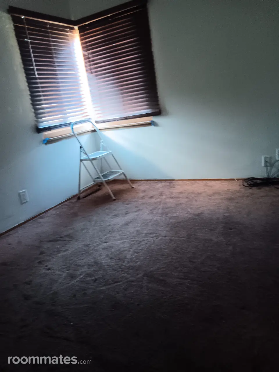 Profile photo 7 of 7