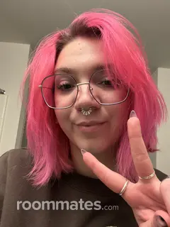 Roommate looking Saint Louis, MO, $500