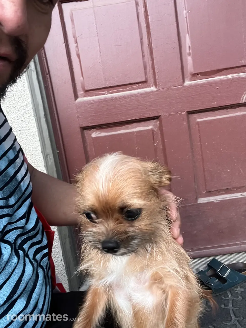 Profile photo 2 of 2