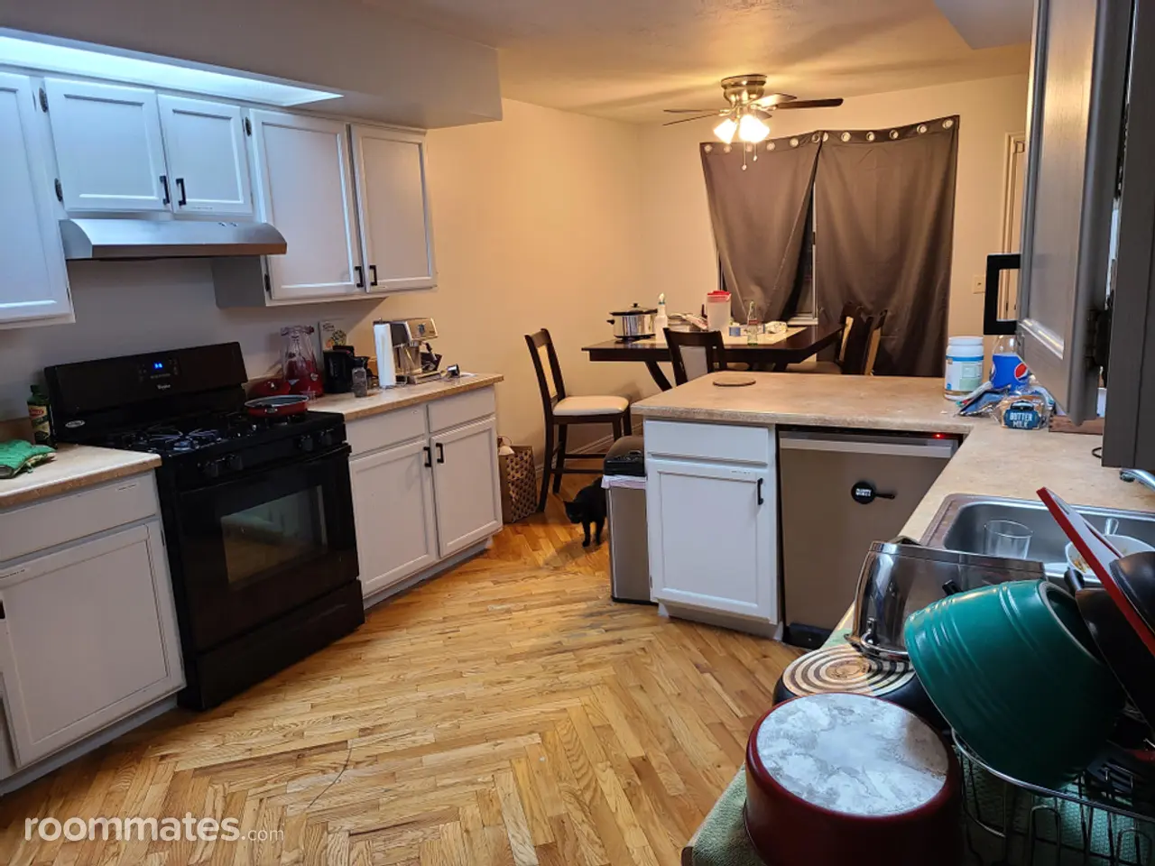 Profile photo 4 of 15