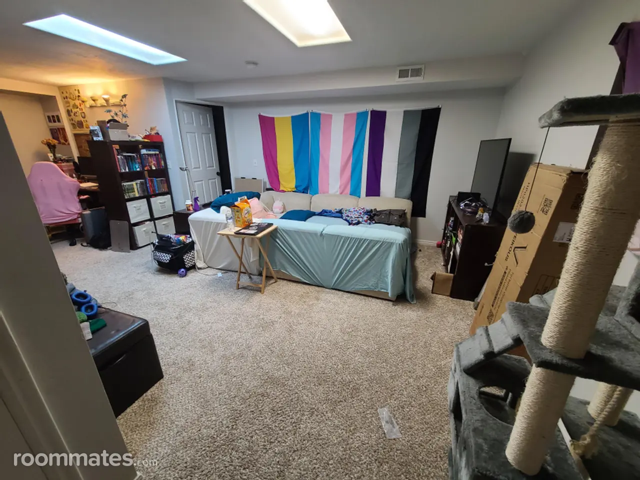 Profile photo 6 of 15