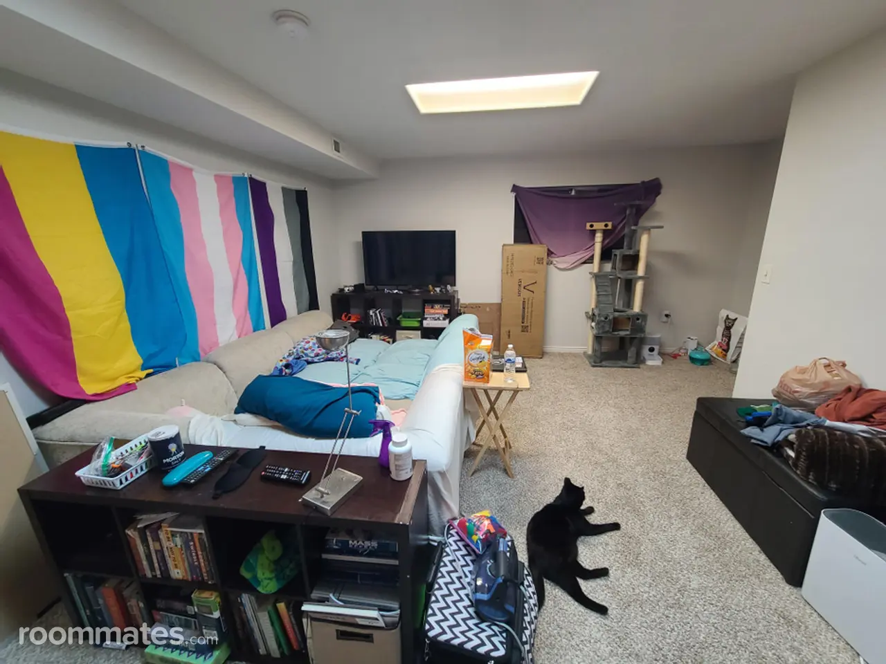 Profile photo 7 of 15