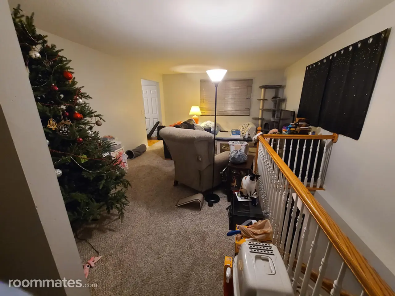 Profile photo 3 of 15