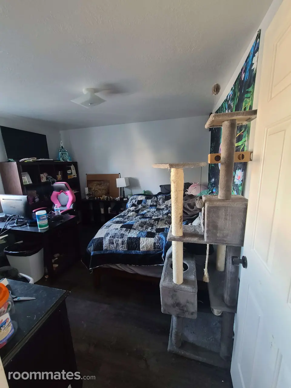 Profile photo 7 of 15