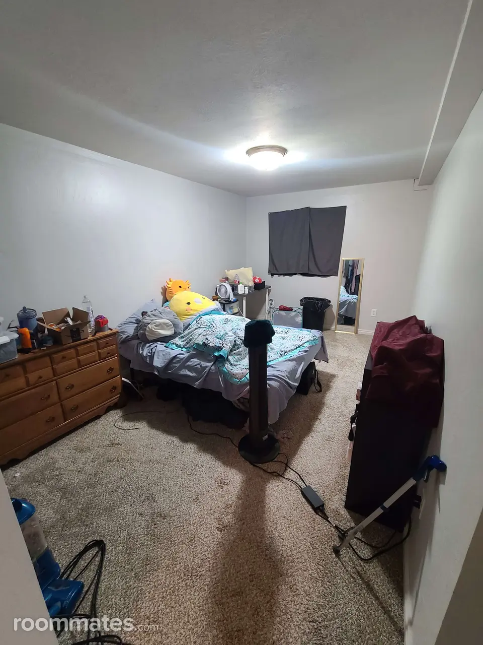 Profile photo 8 of 15