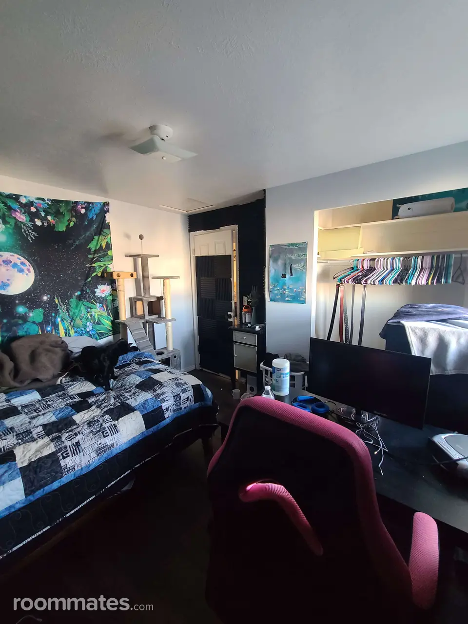 Profile photo 6 of 15