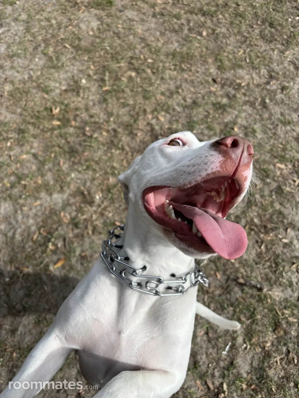 Profile photo 2 of 2