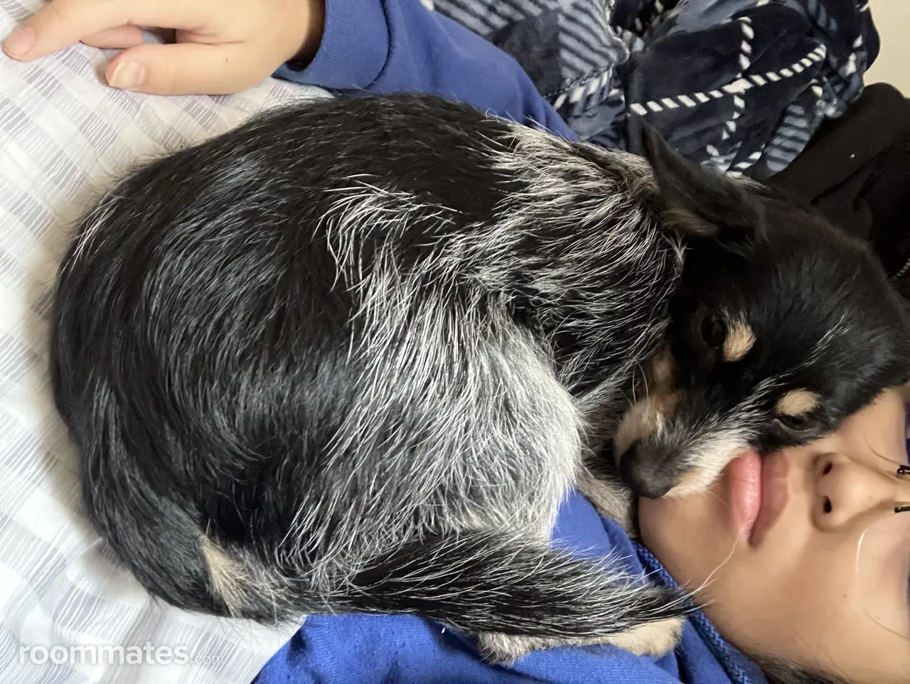 Profile photo 5 of 6