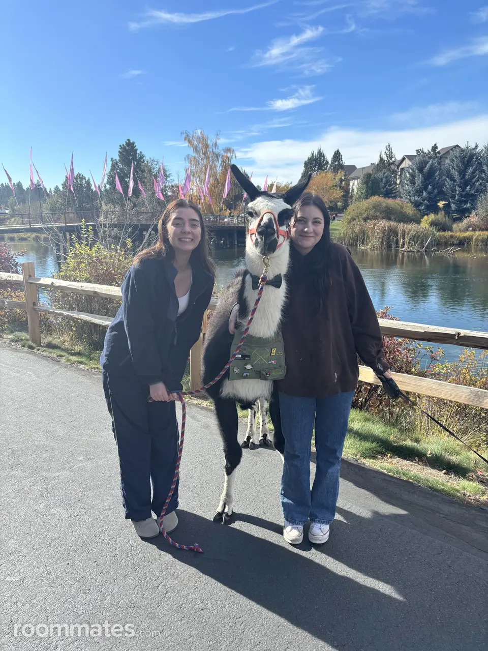 Profile photo 10 of 15