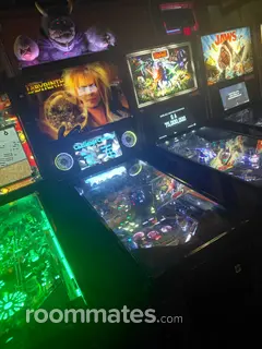 Roommate looking Grand Rapids, MI, $1200