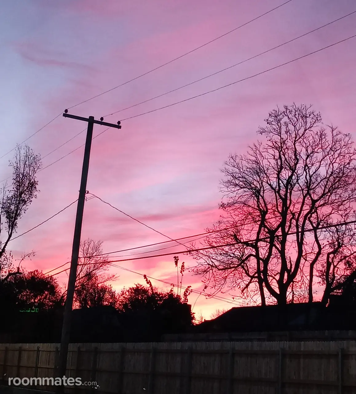 Profile photo 1 of 1