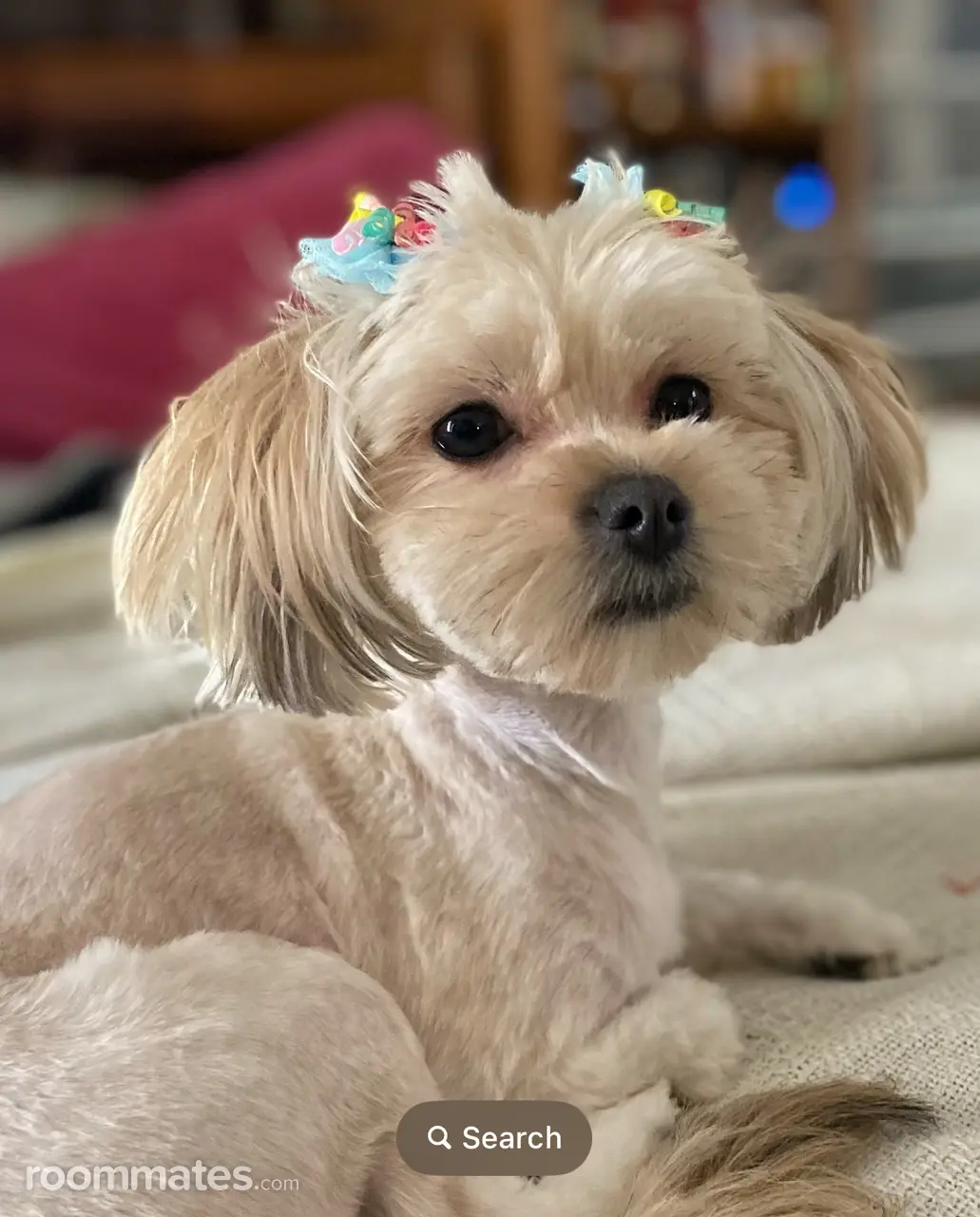 Profile photo 1 of 1