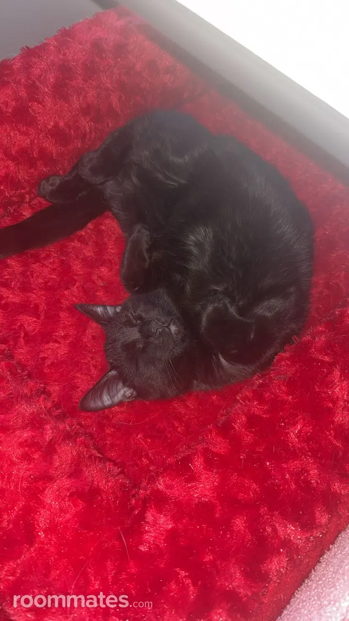 Profile photo 2 of 4