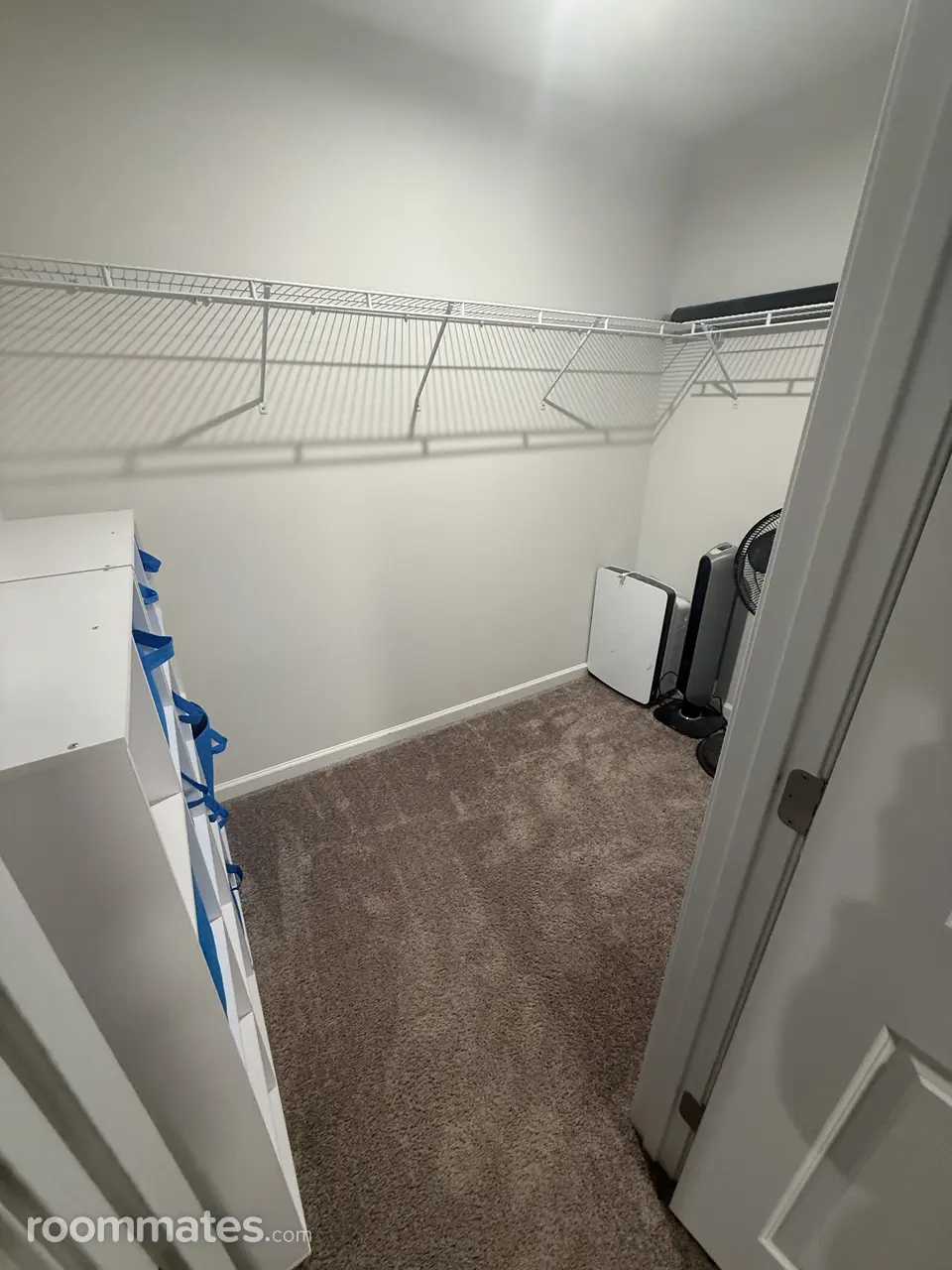 Profile photo 2 of 11