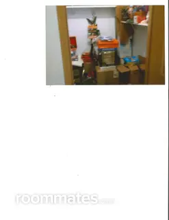 Room for rent in Temperance, MI $800, other